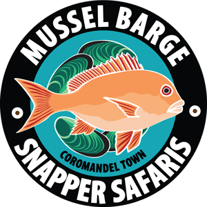 Mussel Barge Snapper Safaris